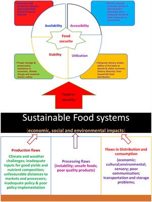 Editorial: Sustainable processing and preservation of underutilized indigenous foods